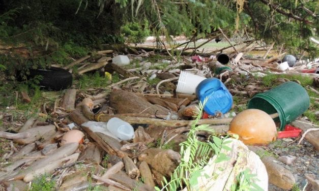 Petersburg residents take on single-use plastics