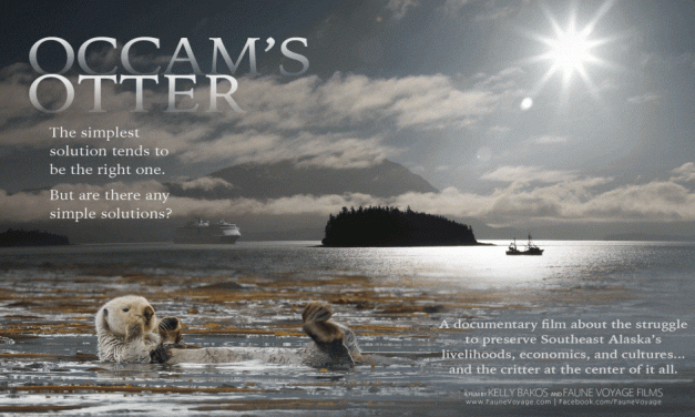 Petersburg filmmaker features sea otters in new documentary