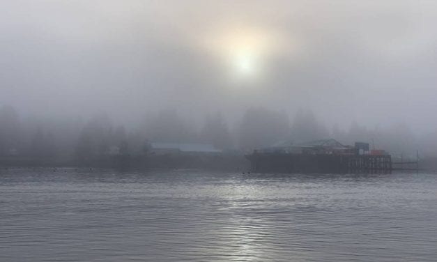 December in Petersburg didn’t get as cold as normal