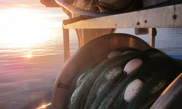 Board agrees to add net fisheries for Crawfish chums