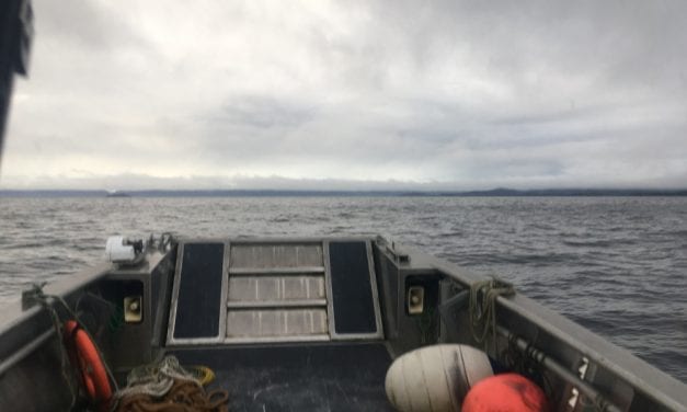 Company: debris likely from missing plane