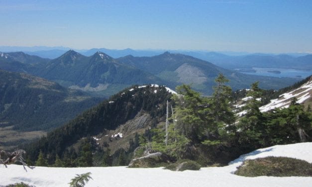 Furloughed U.S. Forest Service workers feel uncertain about the future