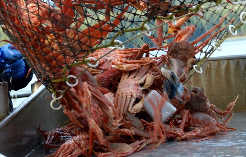 Commercial crabbing wraps up in some parts of SE AK