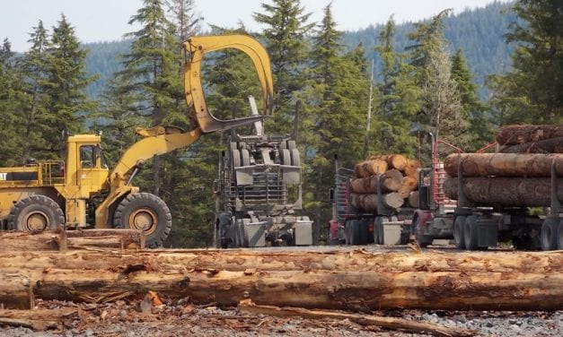 Borough: no response from Forest Service on timber sale questions