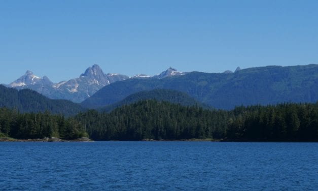 Aggressive bear killed SE of Wrangell