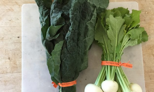 Farragut Farm bringing healthy cooking class to Petersburg this summer