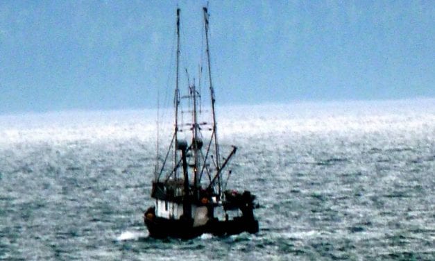 Commercial king salmon summer troll season opens