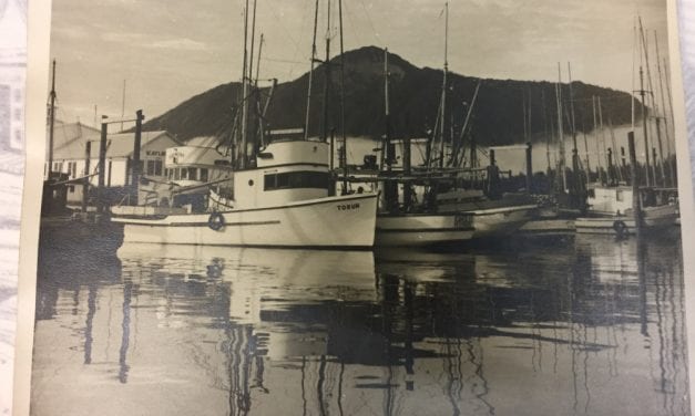 Clausen Museum staff sorting through thousands of uncatalogued historical photographs