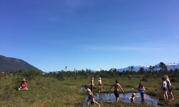 Kinder Skog lets kids discover the outdoors on their own terms