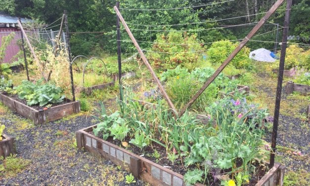 Petersburg Parks and Rec offers garden camp for kids next week