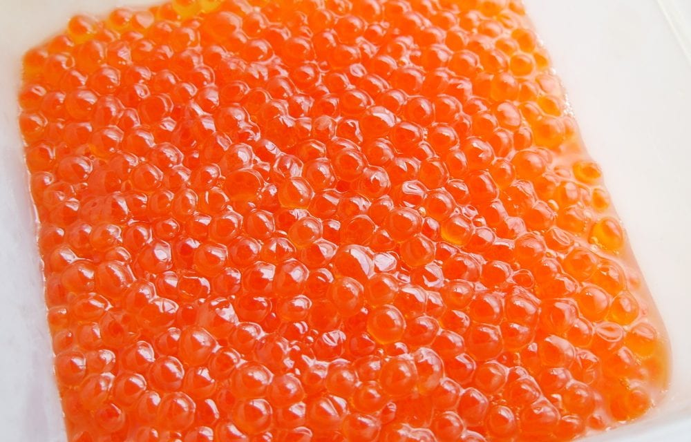 More black cod could threaten salmon hatcheries