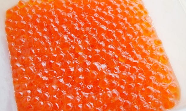 More black cod could threaten salmon hatcheries