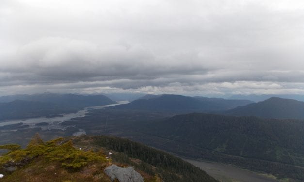 Fire danger on Tongass remains low, despite dry weather