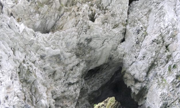 Forest Service proposes plan changes for young-growth logging on karst lands