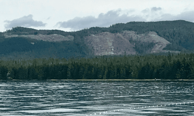 Commentary by Becky Knight: A Layman’s Explanation to the Impacts of the Central Tongass Project and Background