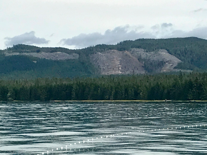 Commentary by Becky Knight: A Layman’s Explanation to the Impacts of the Central Tongass Project and Background