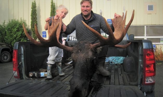 Central Southeast moose hunt count hits 37