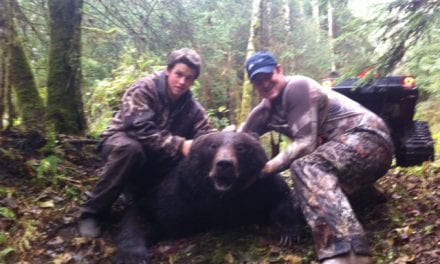 First fall brown bear hunt opens near Petersburg, Wrangell, and Kake