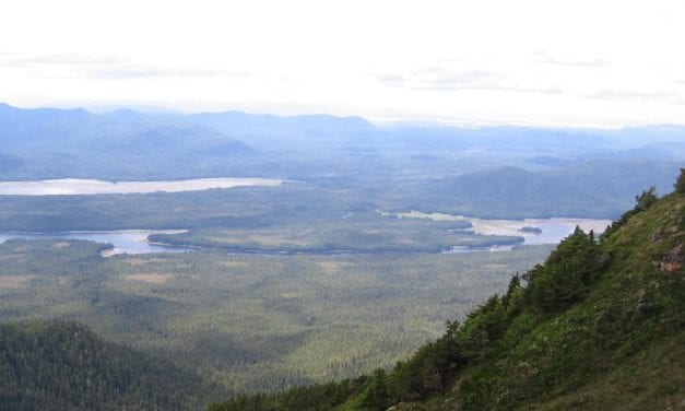 Search underway for missing hunter west of Petersburg