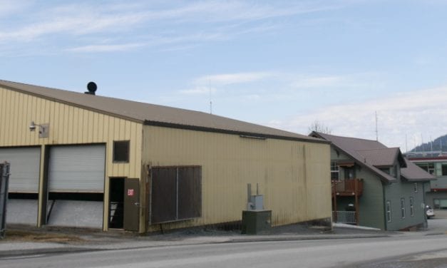 Problem pinpointed in underwater electrical cable south of Petersburg