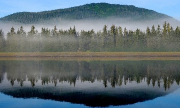 Commentary: David Beebe on the Roadless Rule