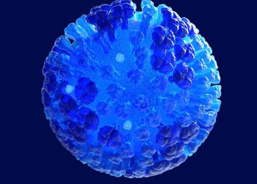 Free flu shot clinic in Petersburg Thursday