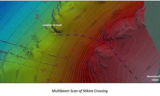 Petersburg’s connection to main power source down to back up cables