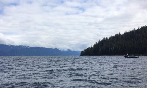 Petersburg may look at more areas for lower property tax