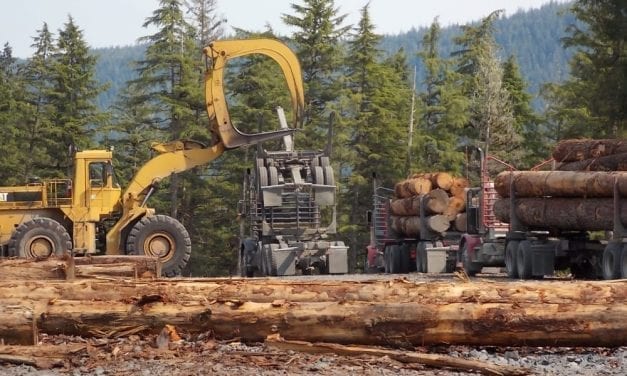 Regional forester expects audit of Tongass logging to be completed soon