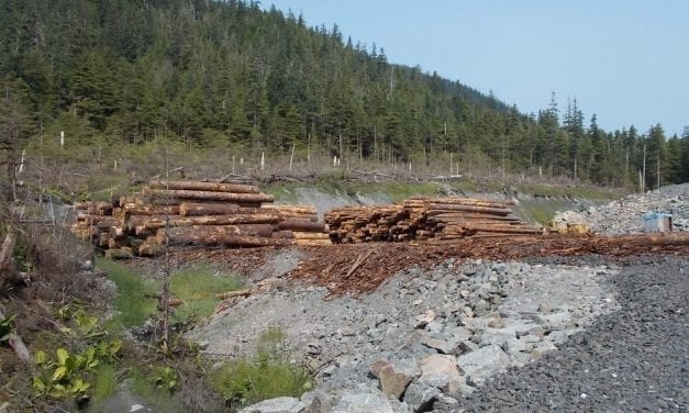 Petersburg assembly delays vote on roadless