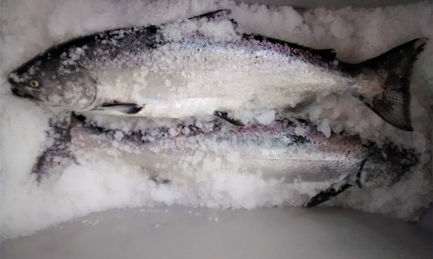 Low king forecasts again for Stikine and Taku Rivers