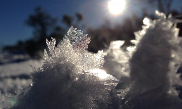 Advice on preparing your home for the cold snap