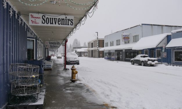 Power restored in Petersburg, Wrangell after Friday outage before cold snap