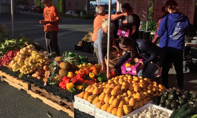 Petersburg’s seasonal produce suppliers make changes for COVID