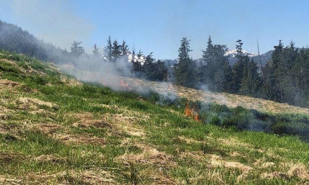 Volunteers extinguish grass fire near Petersburg landfill