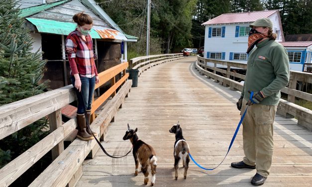 Baby goats help one Petersburg couple cope with COVID