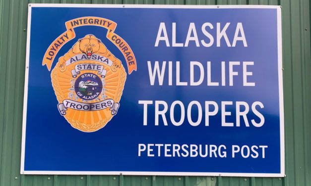 Multiple fatalities in vehicle wreck south of Petersburg