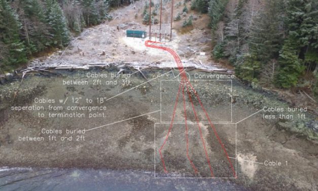 Power agency lines up firm for cable replacement south of Petersburg