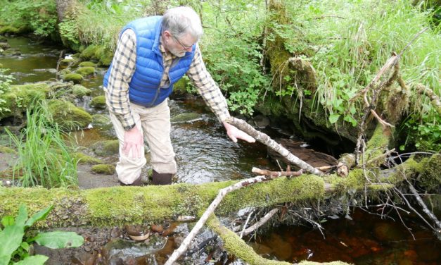 Kupreanof home owner seeks federal OK for small hydro project