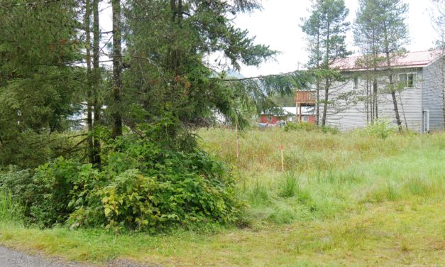 Petersburg Borough to auction parcel that local tribe wants for low income housing