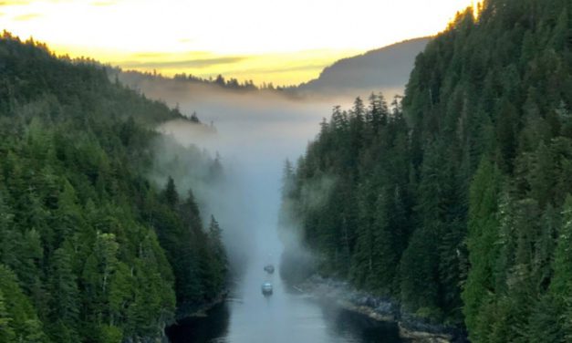 Troller assisted, towed to Port Protection