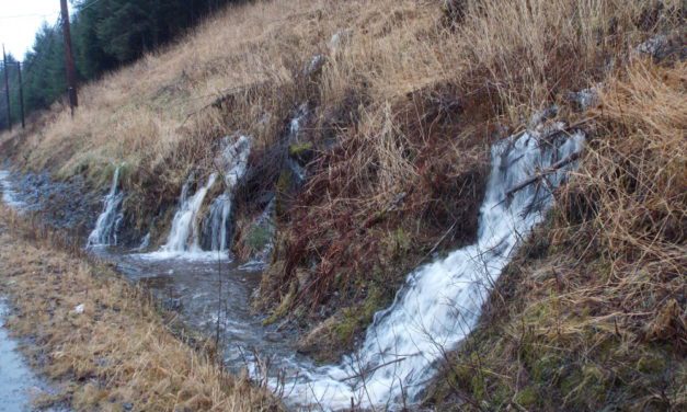 Petersburg’s summer rainfall record in reach