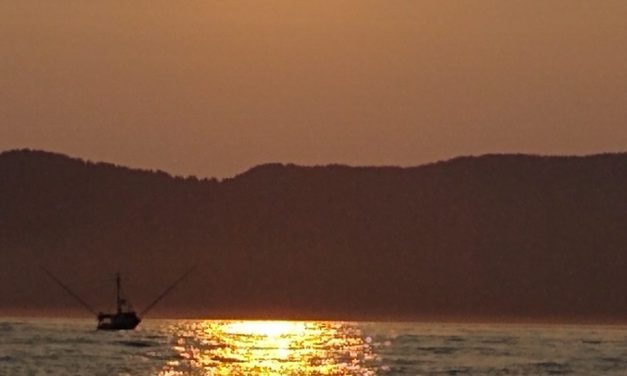 Second summer king opening on tap after coho shutdown