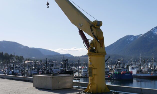 Petersburg to send salmon disaster declaration request