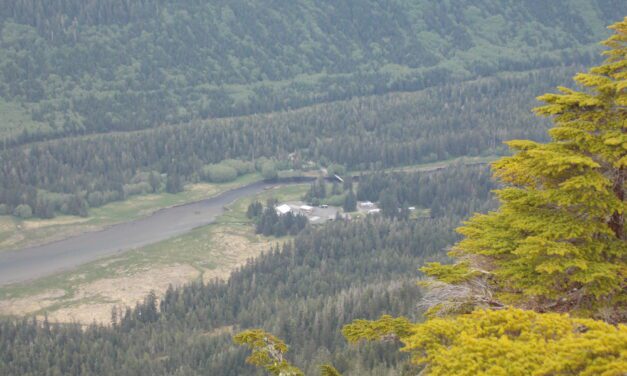 State funding dries up for SE hatchery king salmon programs