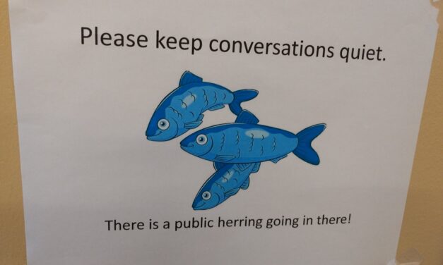 Board of Fish nominees get chilly reception from commercial, subsistence groups