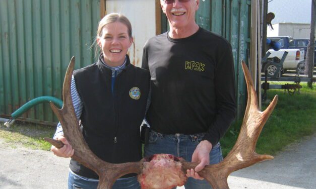 Central SE AK moose hunt off to another strong start