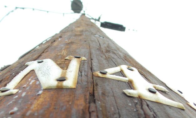 SE power outage Saturday caused by human error