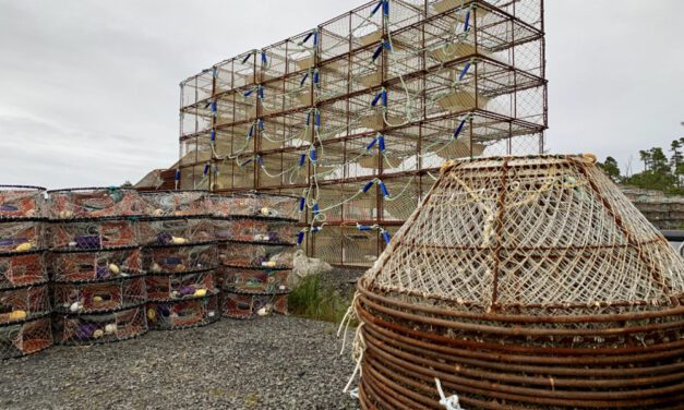 Southeast Alaska to get first commercial red king crab fishery in 8 years