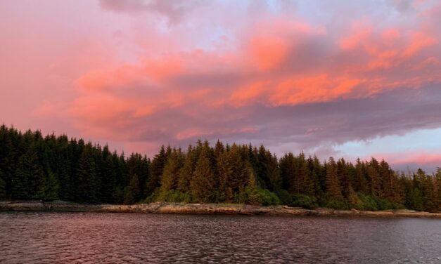 Idaho man cited for using Alaska residency for hunting and fishing